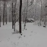 Gnome Hill Cottage - A Rustic Pet-Friendly Cottage in the Woods