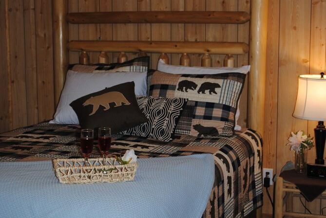 1 Playful Cub-Great Unbelievable Rates, Check it Out
