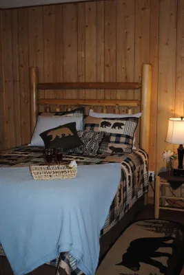 1 Playful Cub-Great Unbelievable Rates, Check it Out