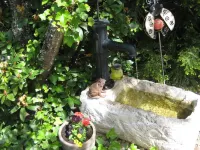 Peace & relaxation right on the edge of the forest in a lovingly furnished vacation apartment Hotels in Weilrod