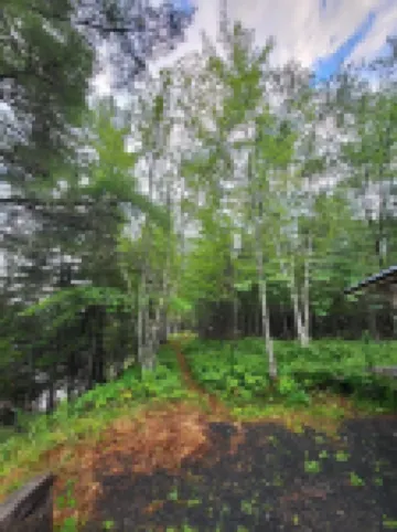 Snowmobilers Welcome - Cozy Getaway-Relax & Unwind-Deer Feeding-Riverfront View