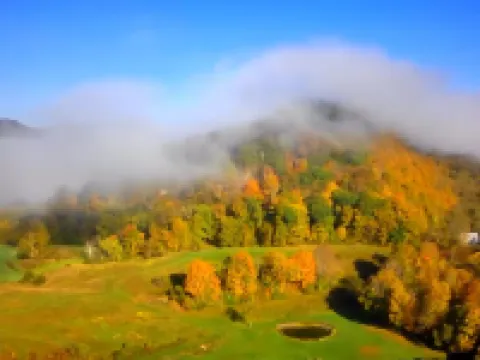 Barn stay with dairy goats! Your clean cozy spot in the barn is waiting for you 奧蘭治縣酒店