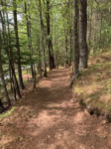 Big Bear Hideaway - St Germain Cabin 4 on St Germain River