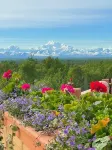 Trail House, Denali Brewing, Base Camp for Adventure, Concerts, Fire Pit, Family