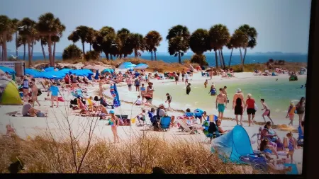 Private room and bathroom  in beautiful Tarpon Spring only minutes to beaches!