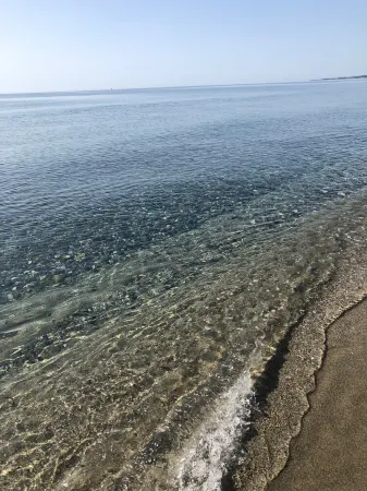 La Petite Famille à la mer