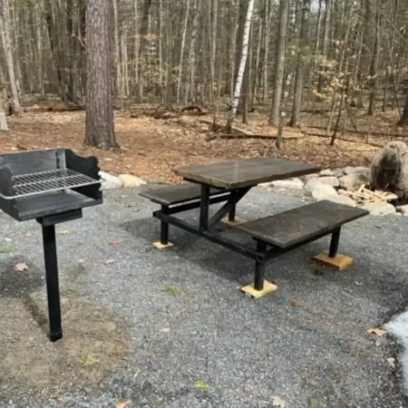 New Log Mountain Home 2023.