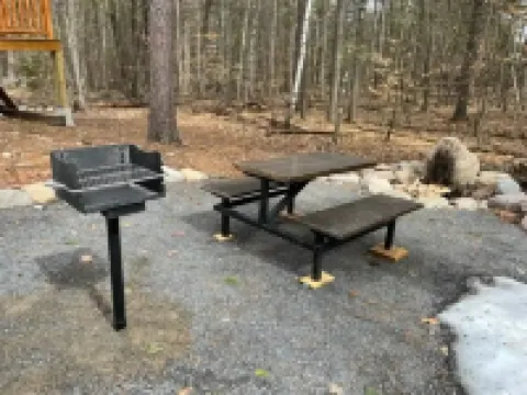 New Log Mountain Home 2023.