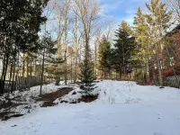 Walking Distance to Arena, Main Street, Mirror Lake, and Restaurants!