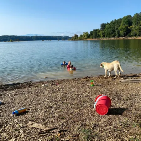 Luxury Log Cabin and 40 acres on Douglas Lake