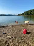 Luxury Log Cabin and 40 acres on Douglas Lake - Alphydda
