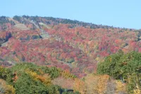 Superb apartment in prime location - Ludlow centre just minutes from ski slopes