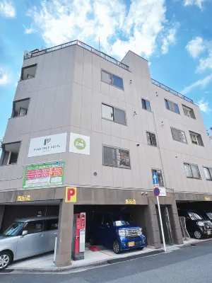 Pine Tree Hotel Hotels in 