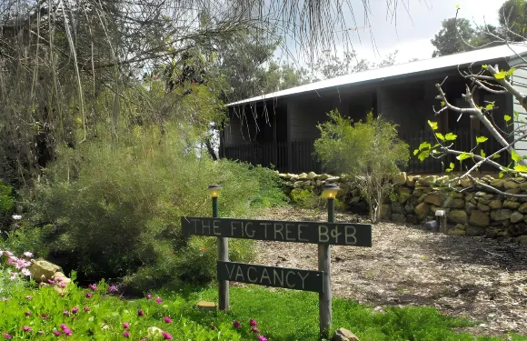 無花果樹床和早餐酒店