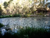 ماونت كوتون ريتريت فنادق في Loganholme