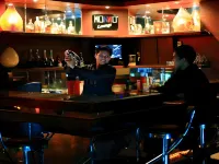 Hotel Palm - bar