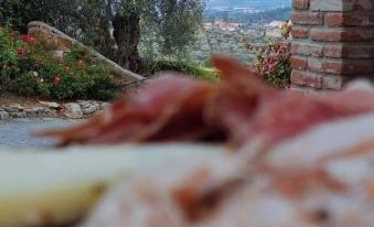 Agriturismo Sottotono