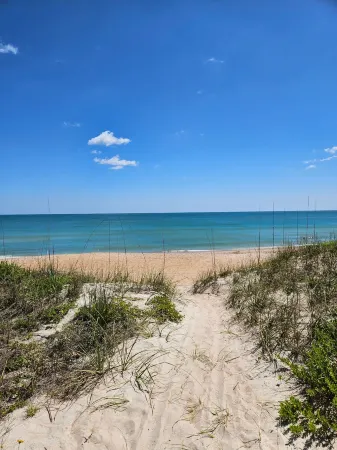 New Beach House - Steps to the Sand! Отели в г. Ормонд-Бай-Те-Си
