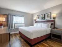 The Lodge Red Hook Hotels near Brooklyn Flea