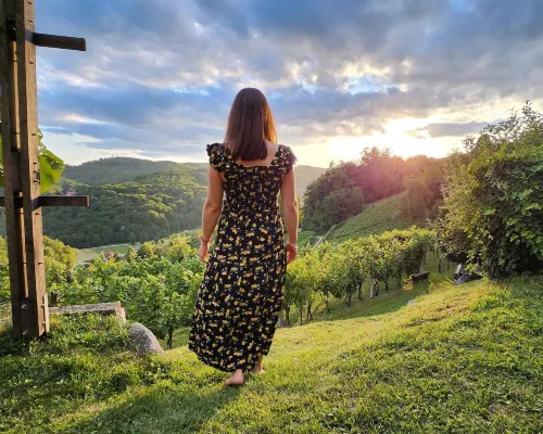 Vineyard Cottage Podržaj Hotels in Otocec
