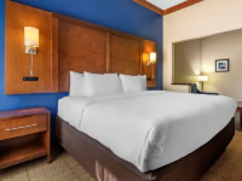 Comfort Inn & Suites Statesboro - University Area Hotels in Statesboro