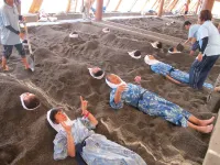 Ibusuki Royal Hotel Hotels in Ibusuki