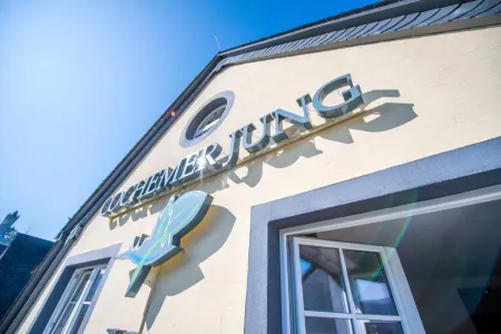 Hotel Cochemer Jung Отели в г. Кохем