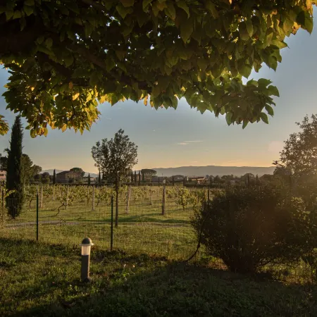Agriturismo Sasso Rosso