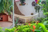 日食飯店比亞維森西奧 住宿飯店