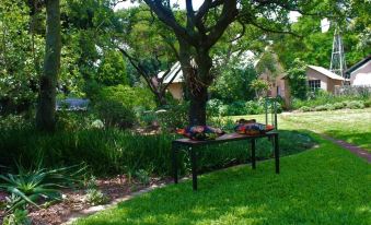 Charming Yellowwood Cottage for 2 People in Spacious Garden!