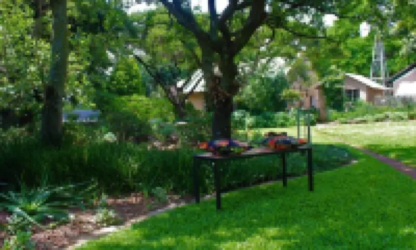 Charming Yellowwood Cottage for 2 People in Spacious Garden!