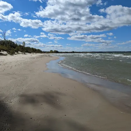Little Yellow Cottages