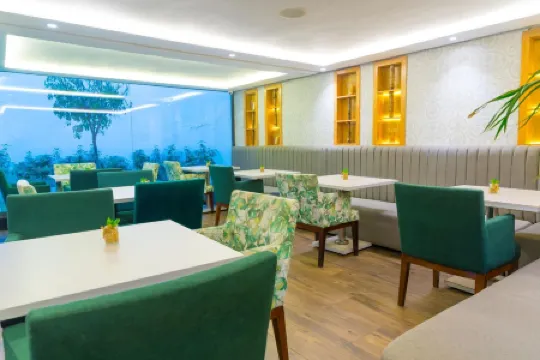 温莎市中心酒店