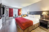 Hotel Universel