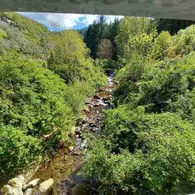 Lina romantic appartment Vallombrosa wifi nature Others