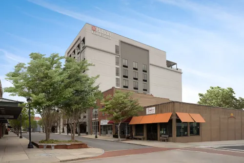 Hilton Garden Inn Greenville University Area
