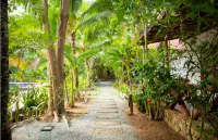 ดาริก้า รีสอร์ท โรงแรมใน