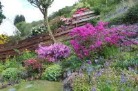 Hillview Guest House -  case vacanza in affitto