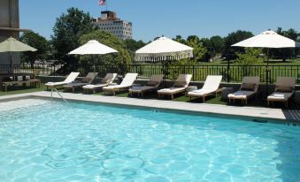 Brut Hotel