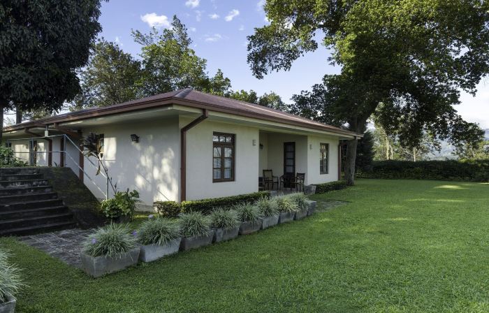 Olive Bungalow