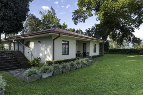 Olive Bungalow