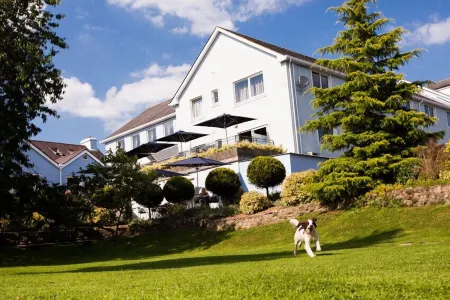 The Plough Inn Отели в г. Лландейло