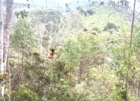 Finca Bienestar Hotel | the Medellin Retreat فنادق في Guarne