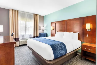 Comfort Inn Hotel dekat Stengel True Museum