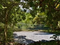 Kitu Kiblu Hotels in Mafia