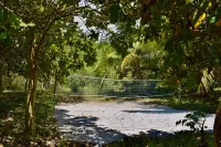 Kitu Kiblu Hotels in Mafia