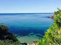 Coogee Beach House Hotels in Coogee