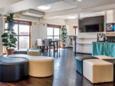 ナイスインホテル市川東京ベイ 市川のホテル