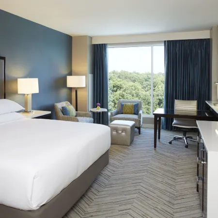 Hyatt Regency Atlanta Perimeter Villa Christina
