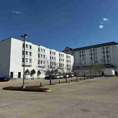 Divya Sutra Plaza and Conference Centre Calgary Airport Hotel Exterior